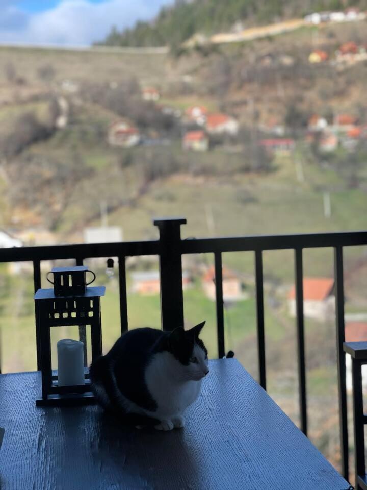 Vila Maslacak Popovići Exteriör bild
